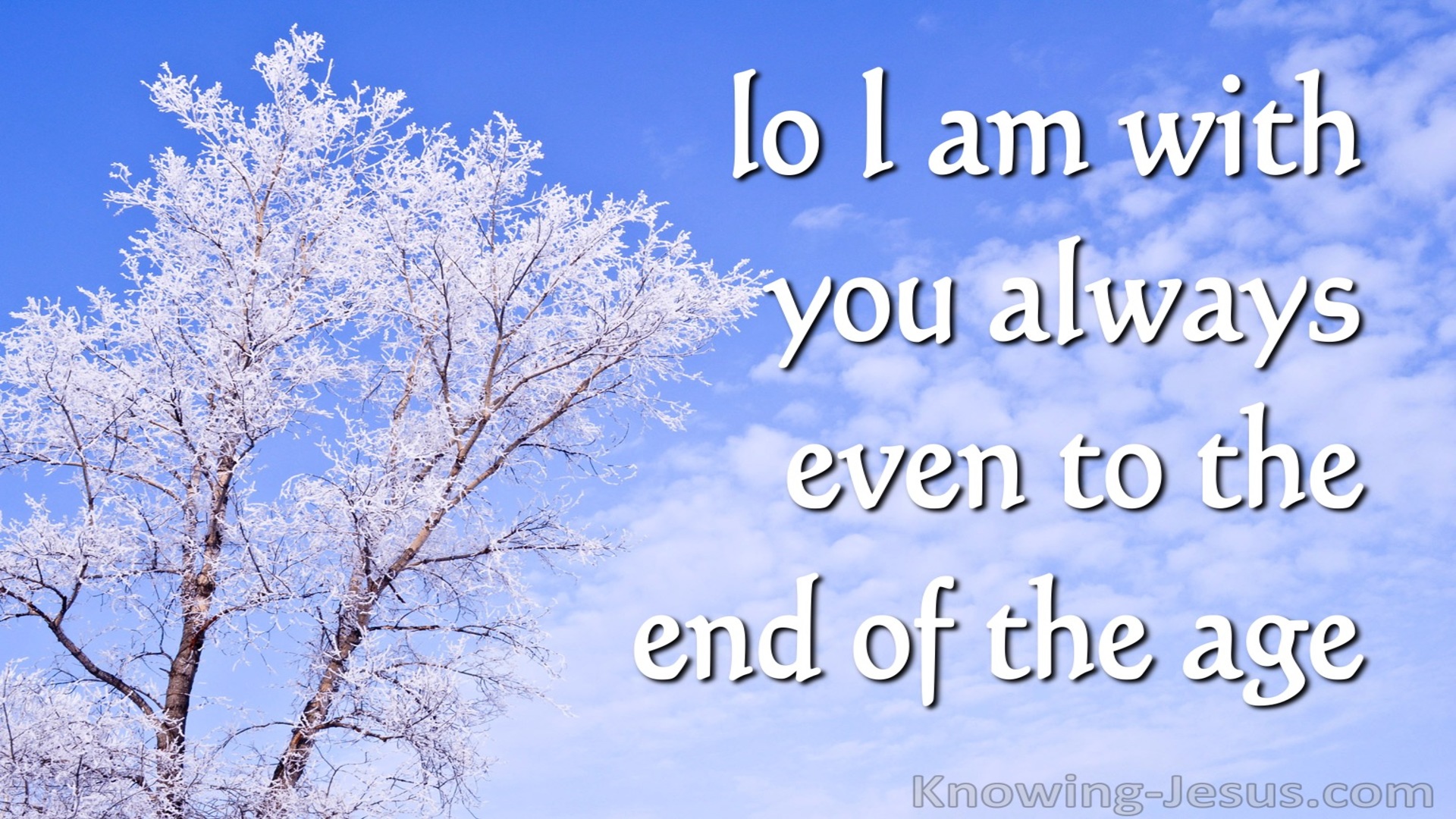 Matthew 28:20 Lo I Am With You Always (blue)